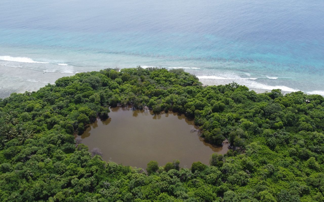 the lush greenery and serene lagoon of Mulhadhoo Island, Maldives, from above.