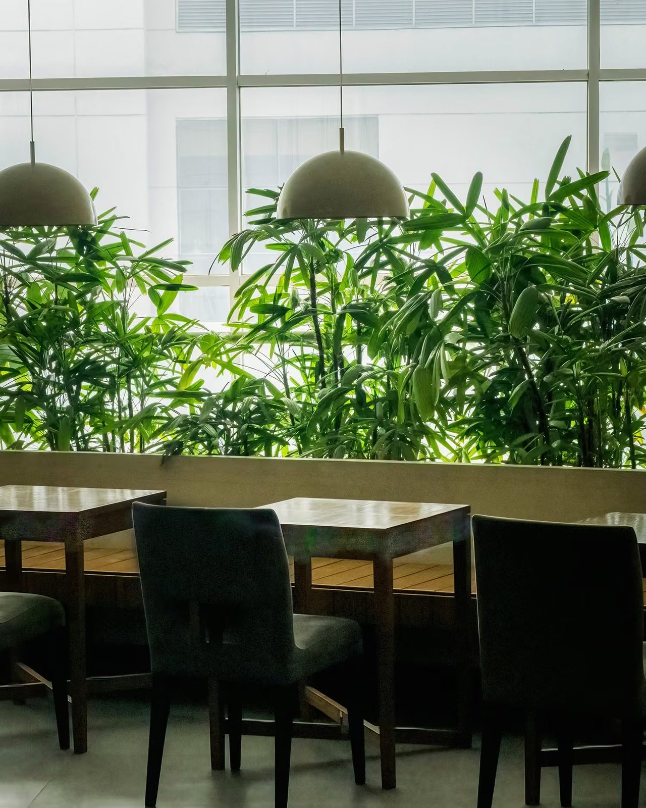 dining, table, greenery, hospitality