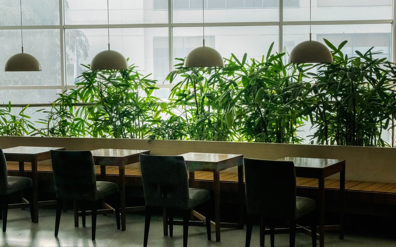 dining, table, greenery, hospitality