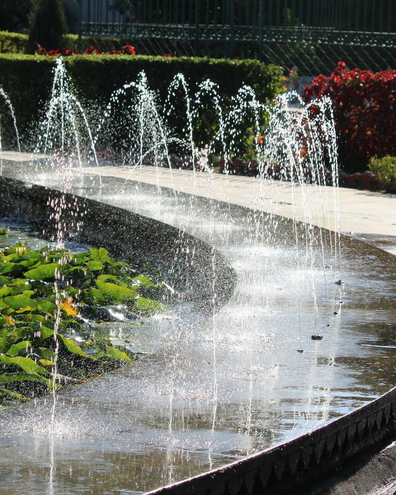 Garden fountain, udaipur