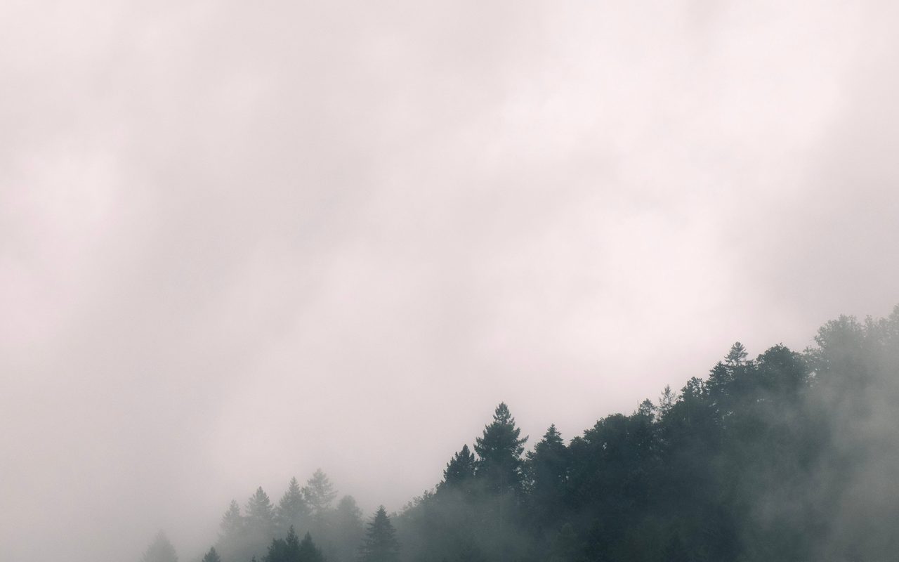 Captivating misty forest scene with fog overlaying lush green hills, creating a serene and mysterious atmosphere.