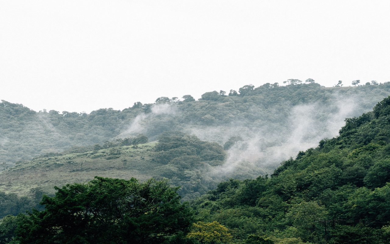 Lush green hills covered in mist and dense forest create a serene natural view.