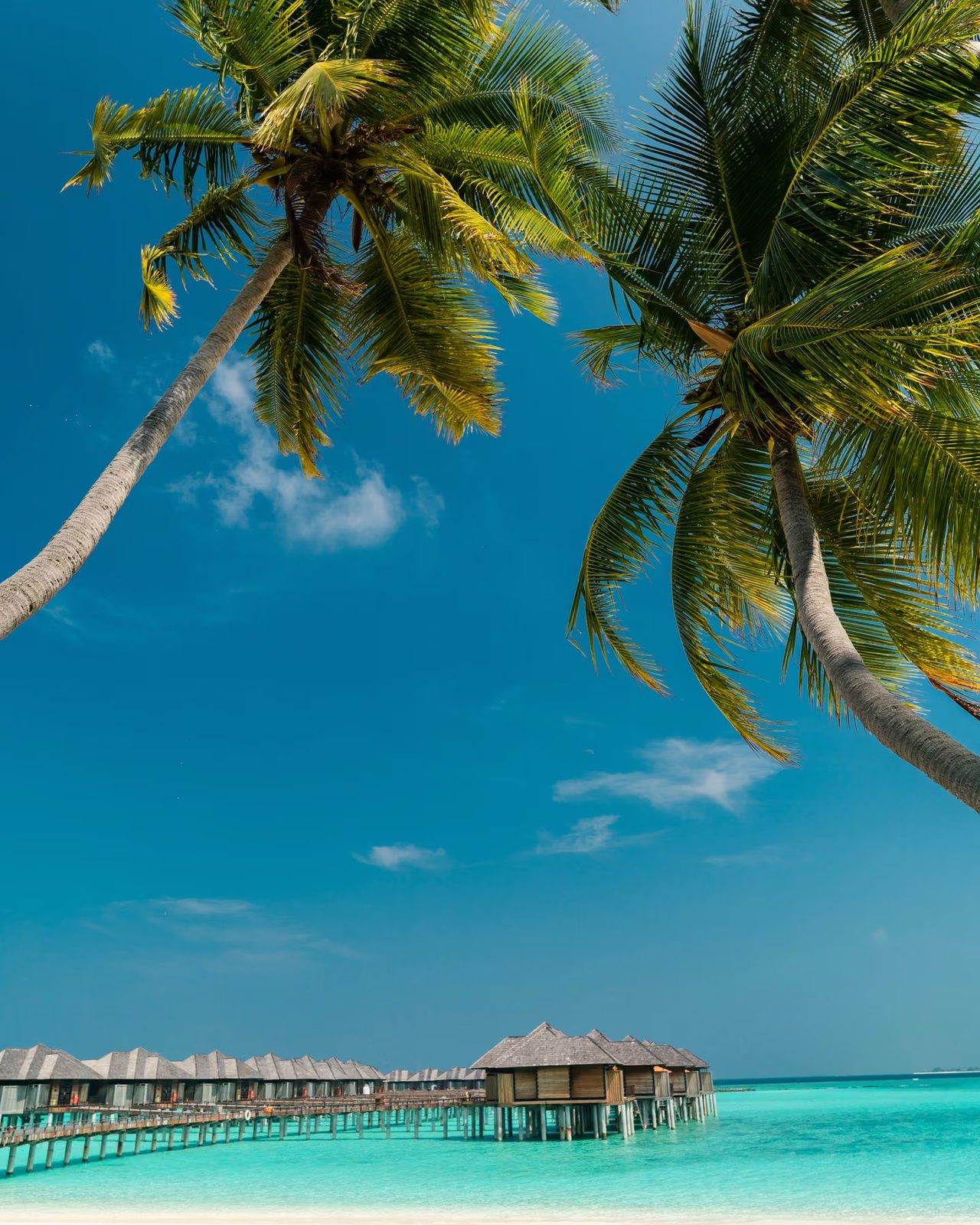 Palm beach, maldives
