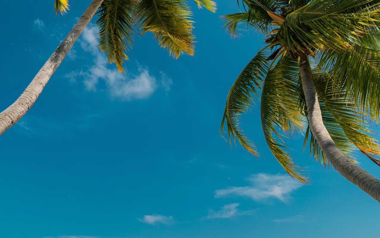 Palm beach, maldives