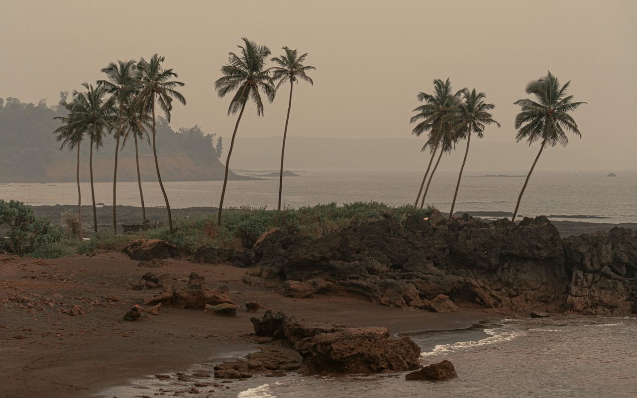 Dramatic coastline of Goa with swaying palm trees and rocky shore at sunset.