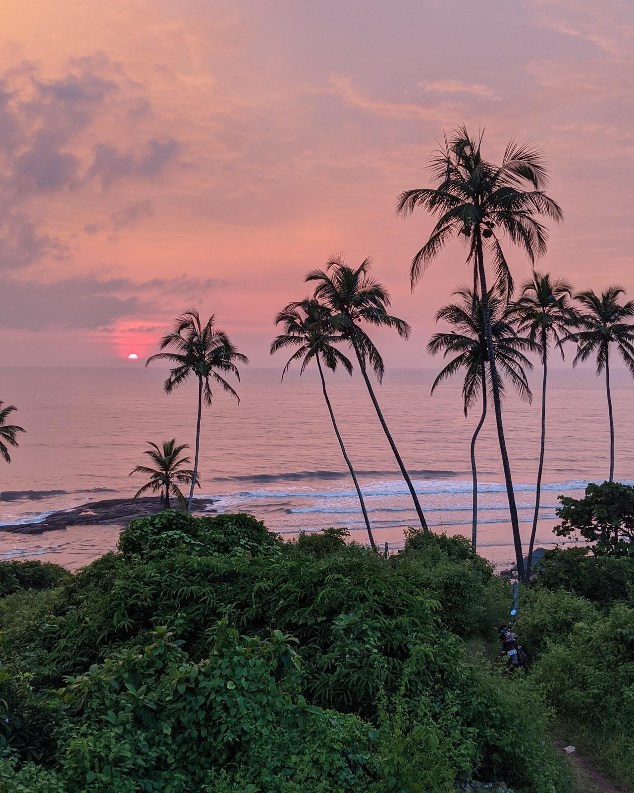 a breathtaking Goan sunset with coconut palms swaying against a vibrant sky.