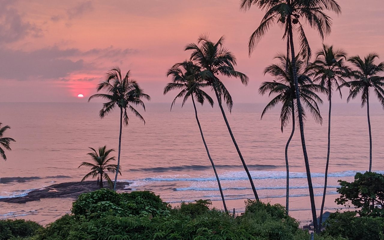 a breathtaking Goan sunset with coconut palms swaying against a vibrant sky.