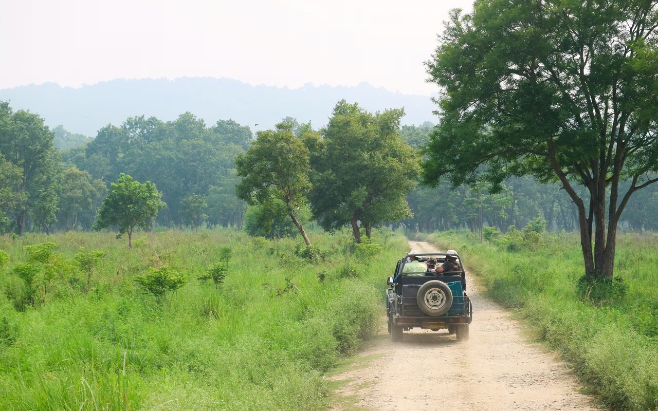 Safari landscape, jim-corbett