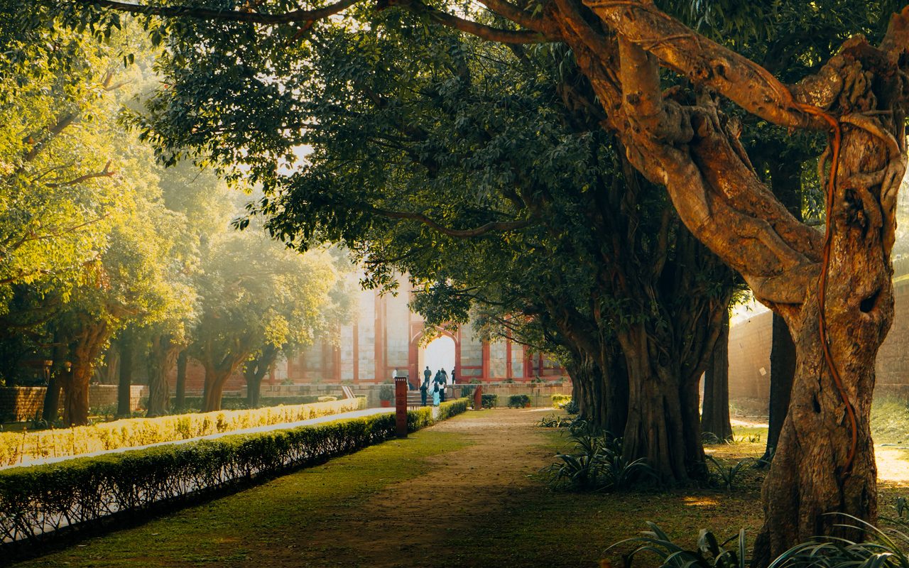 A tranquil garden path leading to a historic Indian monument in Delhi, India, with lush greenery.