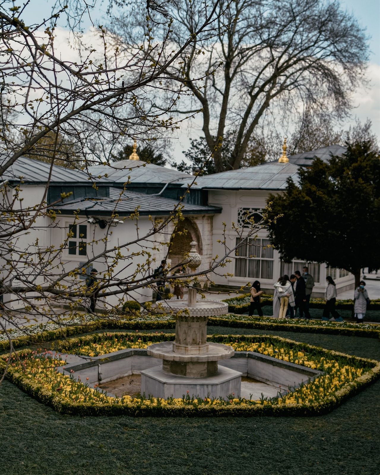 A serene garden with a central fountain surrounded by classic architecture and blooming flowers.