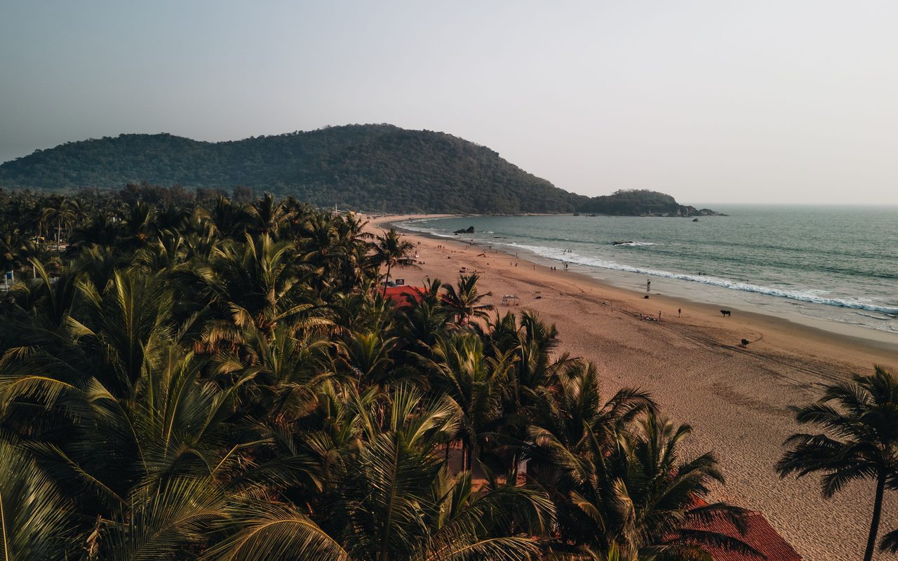 A stunning aerial view of Palolem Beach in Goa, India at sunset, lined with lush palm trees.
