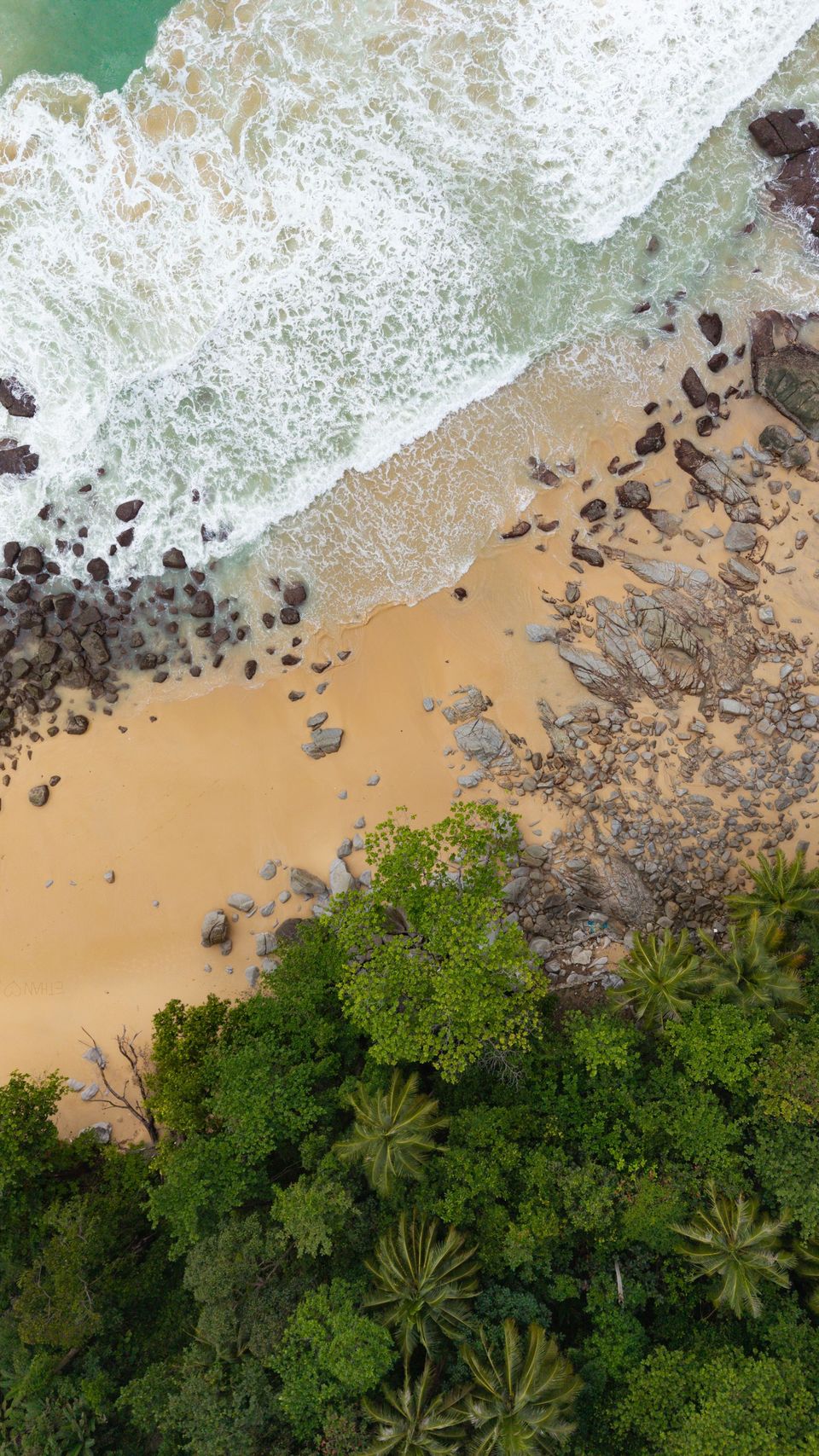 Aerial view of a forest-fringed beach in Phuket