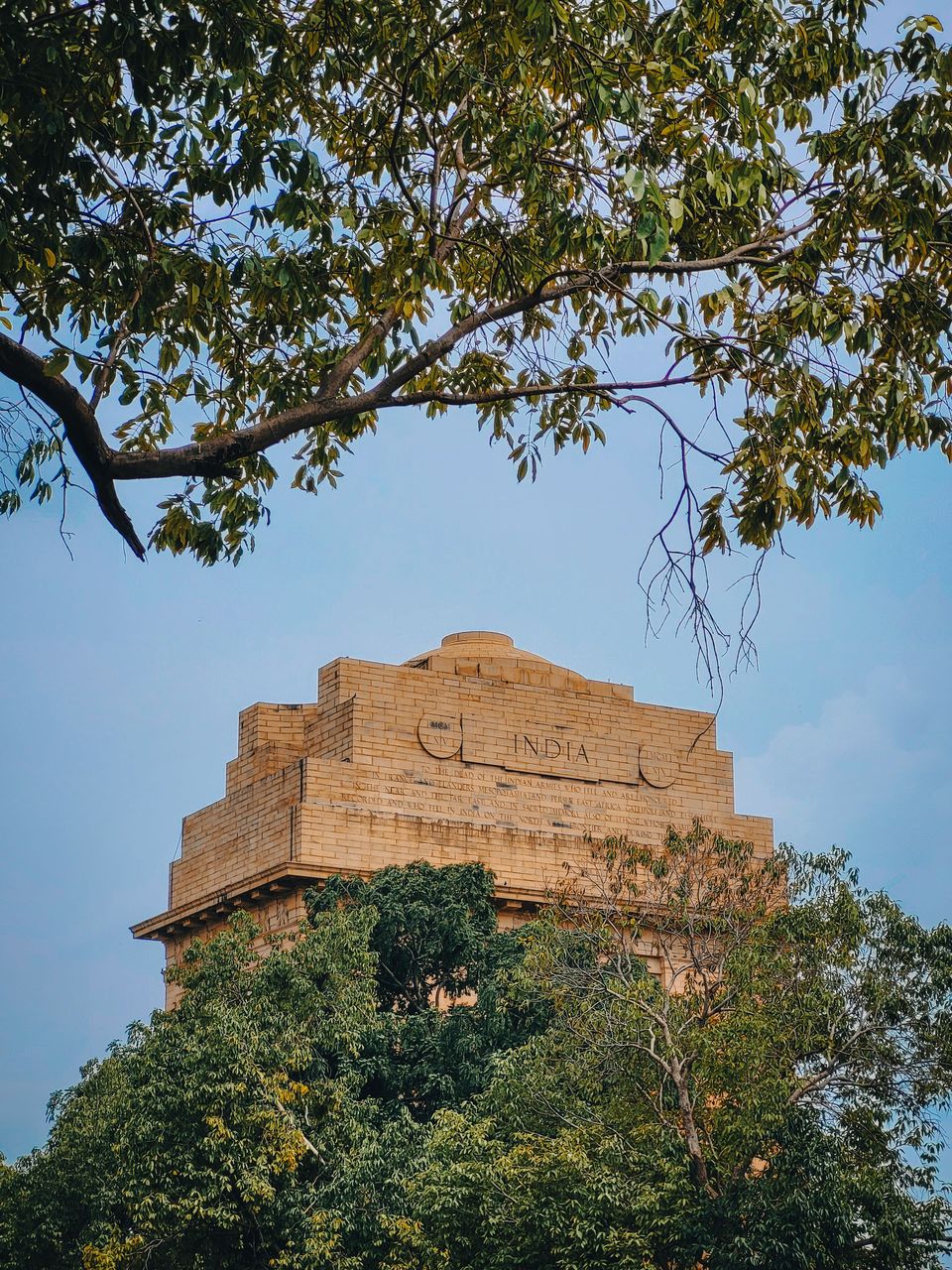 India Gate framed by leafy trees in New Delhi
