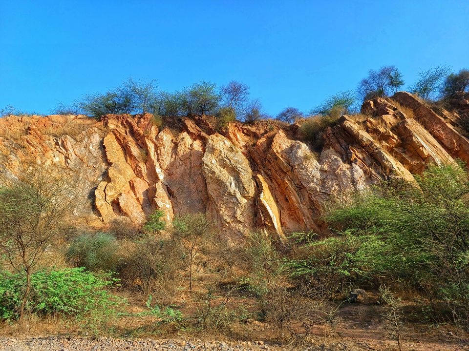 Rocky ridge and scrub beside Leopard Trail in Gurugram, in the Aravalli Range