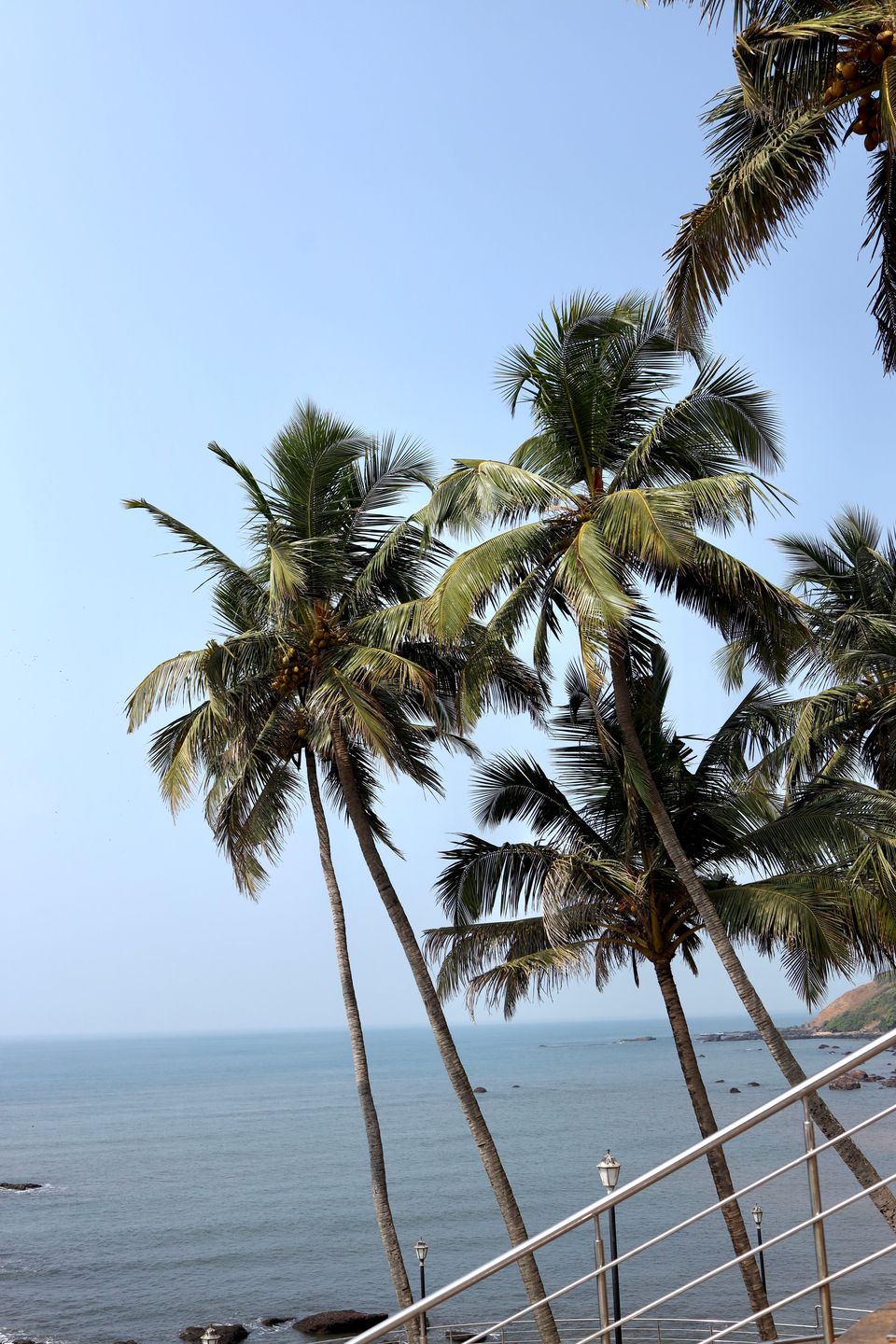 Palm-lined coastline beneath a blue sky in Goa