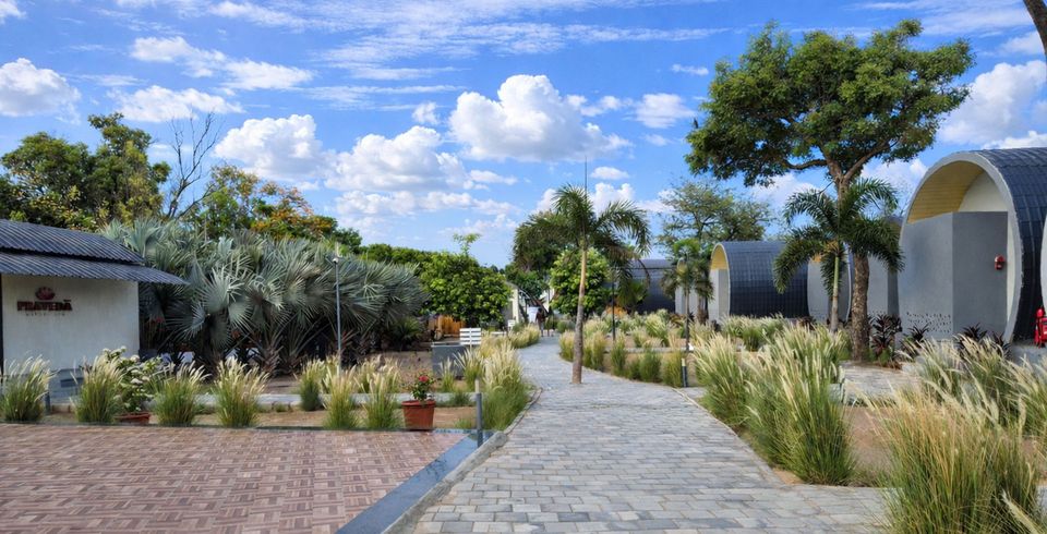 Garden paths between curved cottages