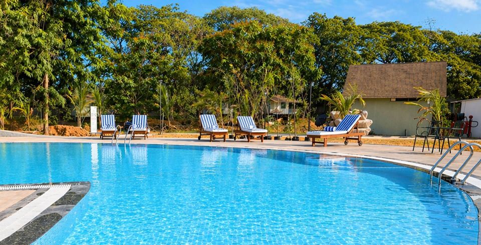 Outdoor swimming pool amid trees
