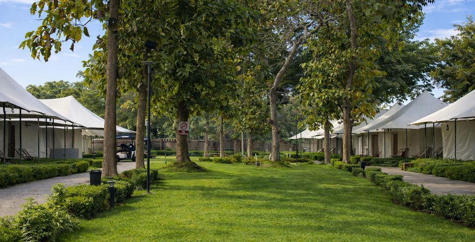 Tree-lined lawn between tented accommodation