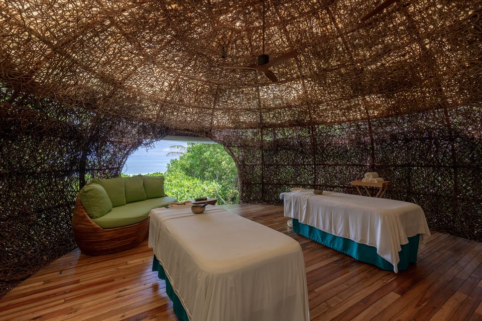 Spa treatment room woven around the forest